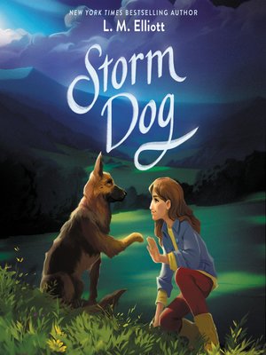 cover image of Storm Dog